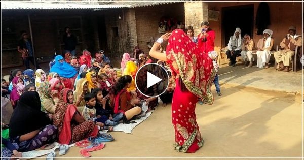देसी भाभी ने लाल साड़ी पहनकर गांव के लोगों के सामने लगाया जोरदार ठुमका, वायरल हुआ वीडियो