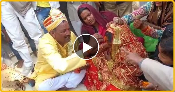 63 का दूल्हा-24 की दुल्हन: छह लड़कियों के पिता ने रचाई शादी, LOVE STORY इंटरनेट पर वायरल