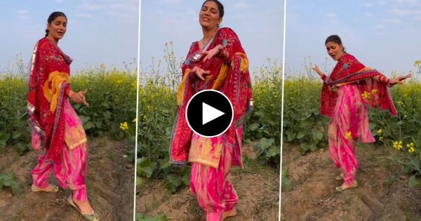 Sapna Chaudhary ने सरसों के खेत में लहराई जुल्फें, मचले फैंस के दिल